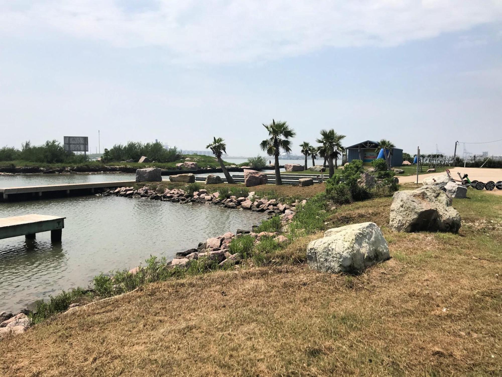 Unobstructed Oceanfront Sea Turtle Unit 2 Beach Pad! Surfside Beach Zewnętrze zdjęcie